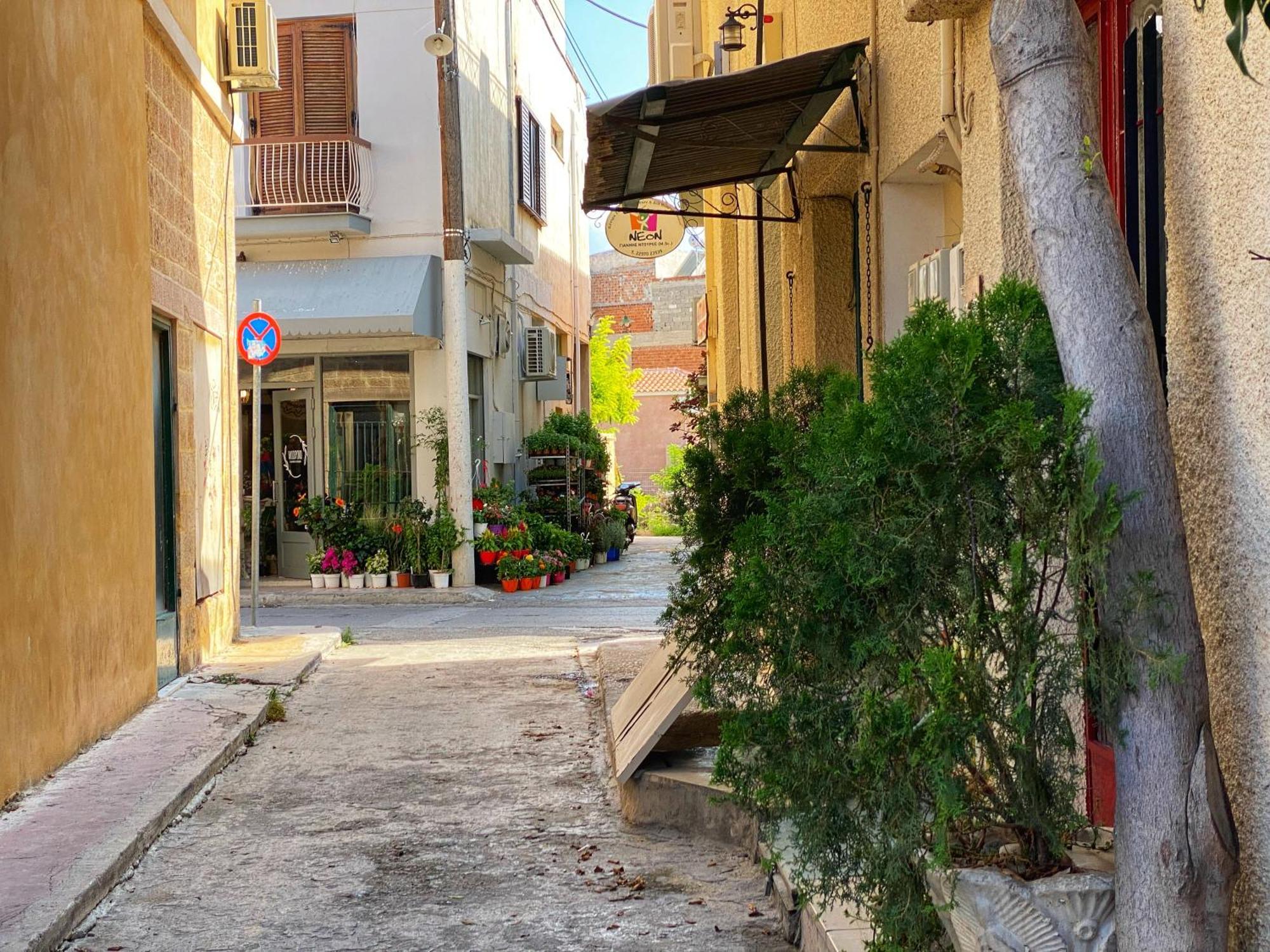 Nasos Aegina Apartment Kültér fotó