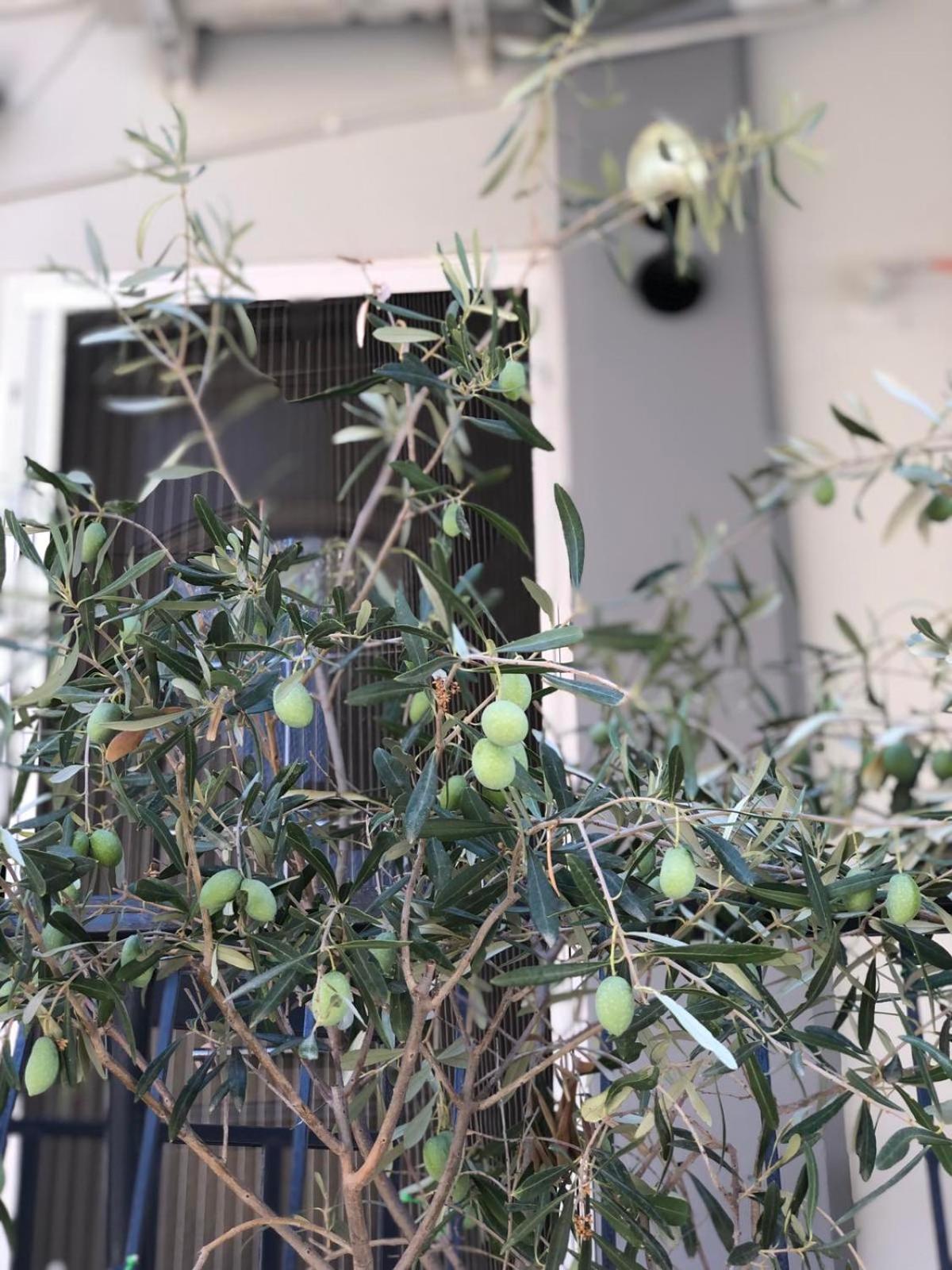 Nasos Aegina Apartment Kültér fotó